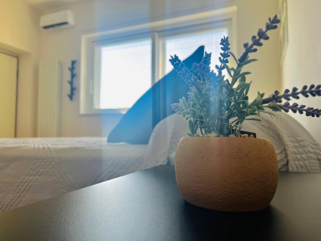 Vedi Napoli E Vivi Apartment Τόρρε ντελ Γκρέκο Εξωτερικό φωτογραφία